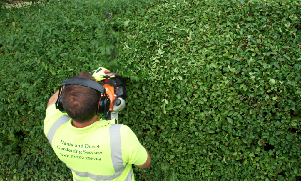 HDGS lawn care and garden maintenance work in Poole Dorset including mowing and treatment