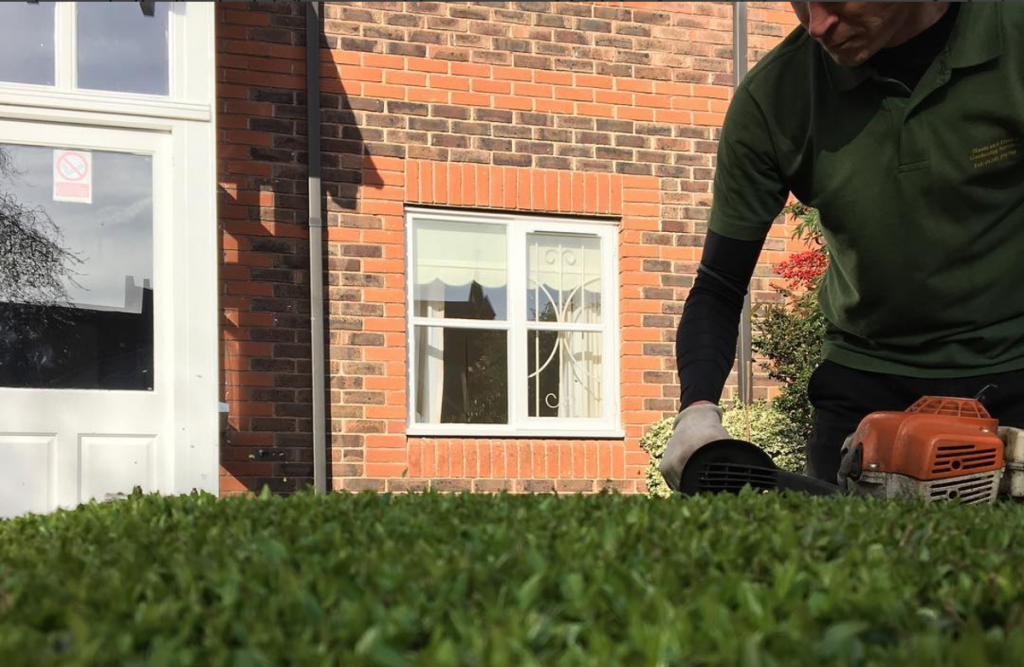 Professional hedge cutting and trimming service by HDGS in Bournemouth Dorset