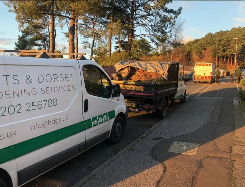 HDGS certified tree surgeon climbing tree during BS3998 standard tree surgery in Dorset